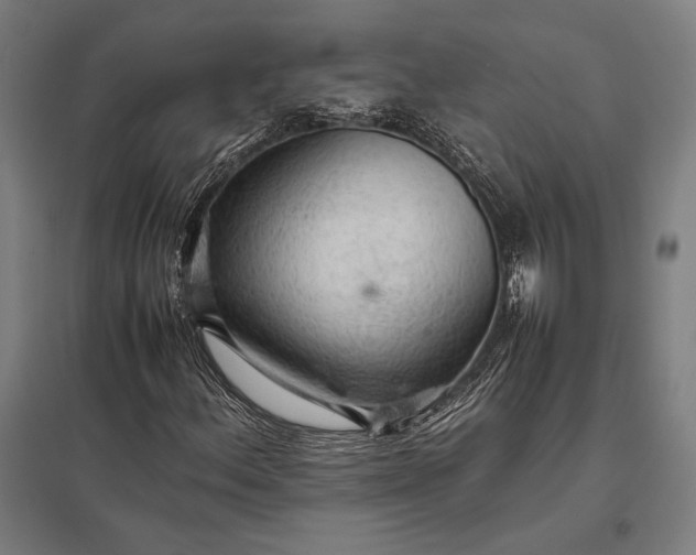 X0000097861156200803281306