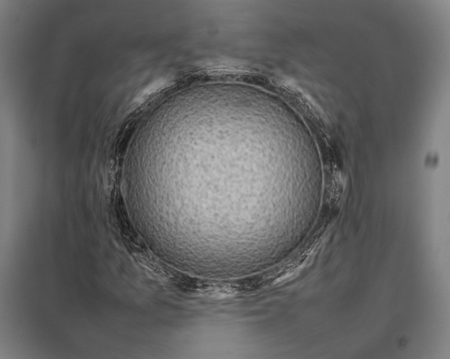 X0000097861157200803281306