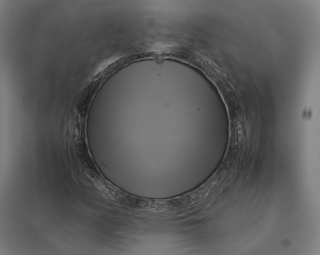 X0000097861158200803281306