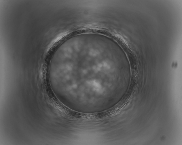 X0000097861159200803281305