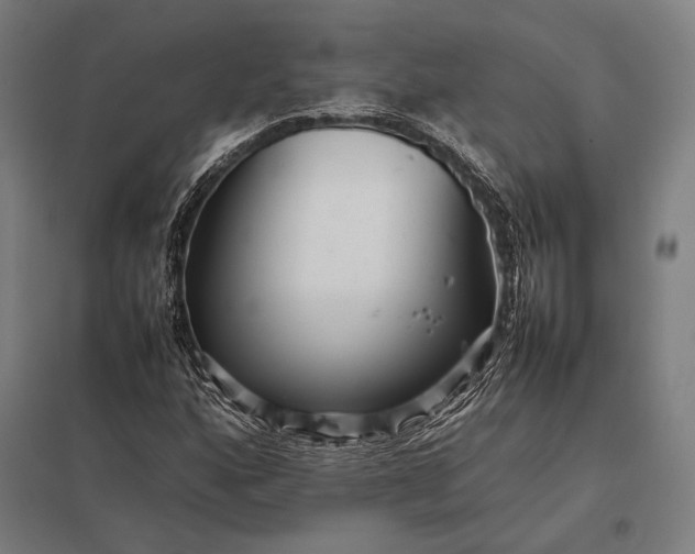 X0000097861160200803281305