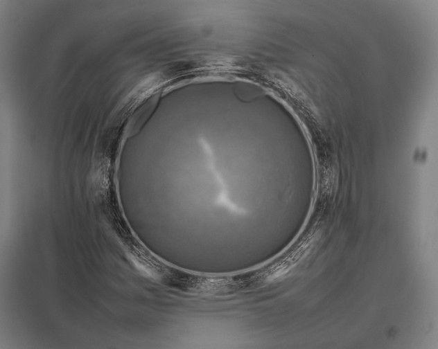 X0000097861161200803281305