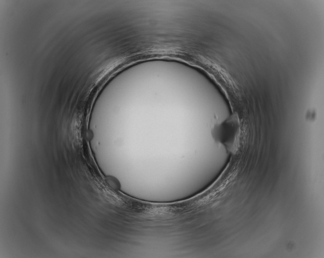 X0000097861162200803281305