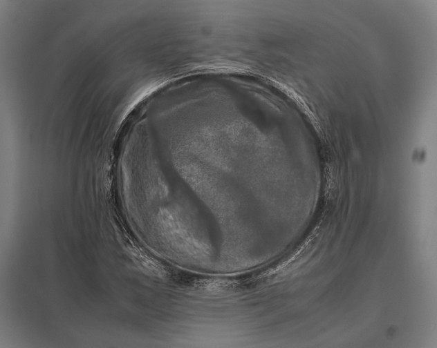 X0000097861163200803281305