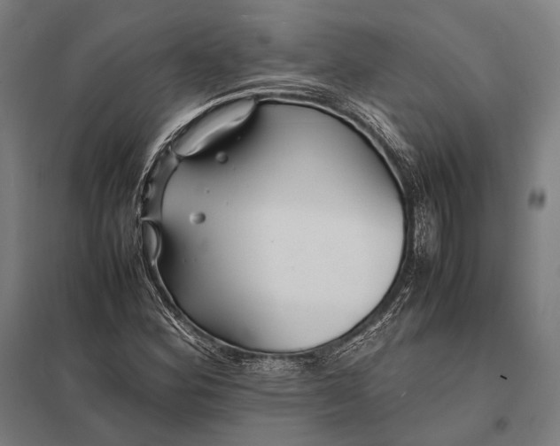 X0000097861164200803281305