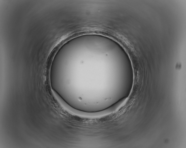 X0000097861165200803281305