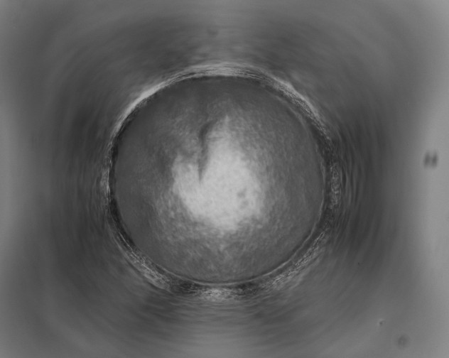 X0000097861166200803281305