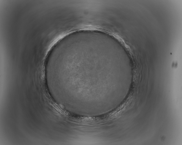 X0000097861167200803281305