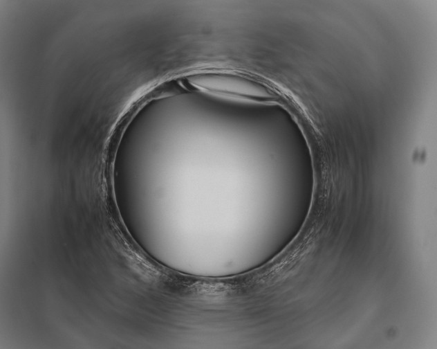 X0000097861168200803281305