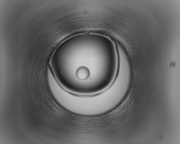 X0000097861169200803281305