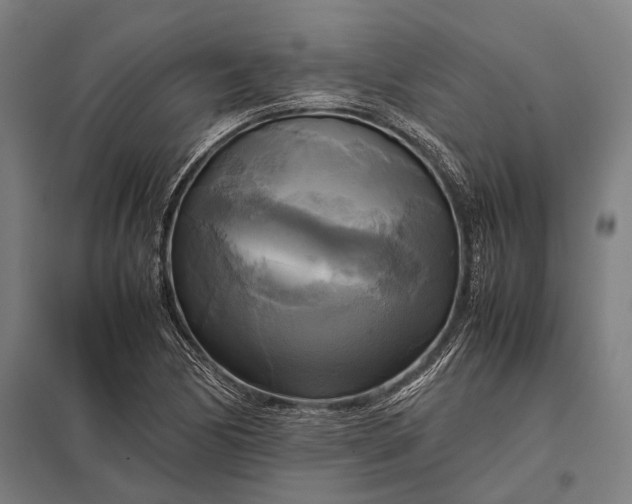 X0000097861170200803281305