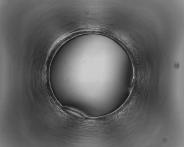 X0000097861172200803281305