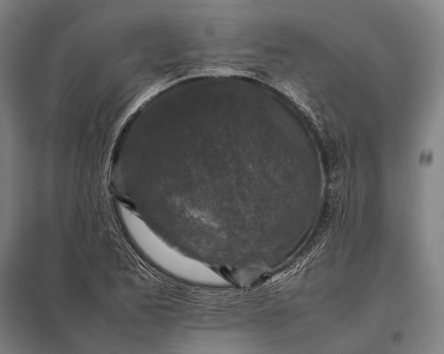 X0000097861173200803281305