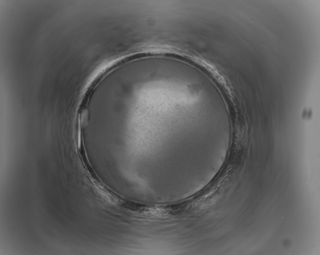 X0000097861175200803281305