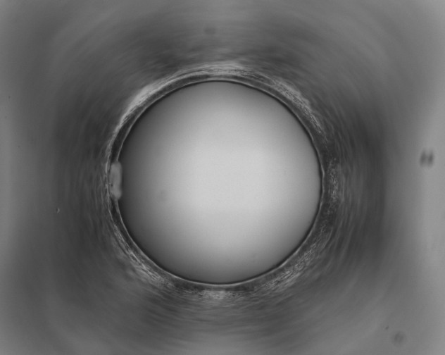 X0000097861176200803281305