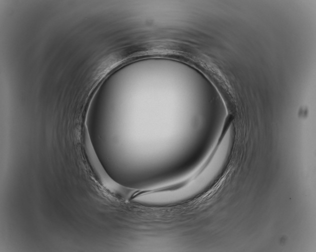 X0000097861177200803281305