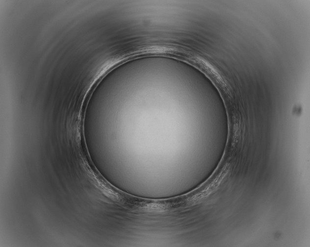 X0000097861178200803281305