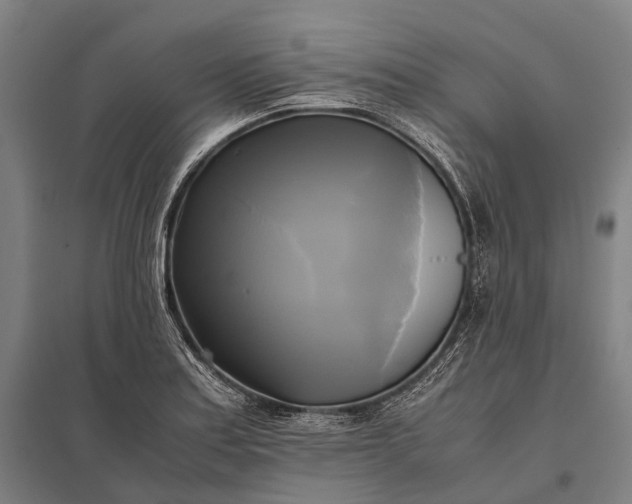 X0000097861179200803281305