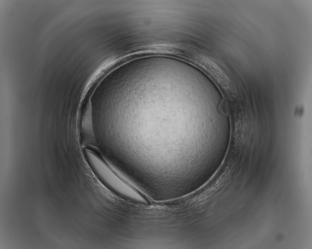 X0000097861180200803281305