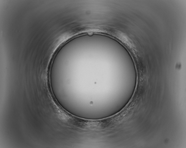 X0000097861181200803281305