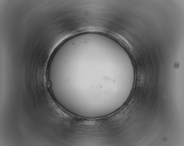 X0000097861182200803281305