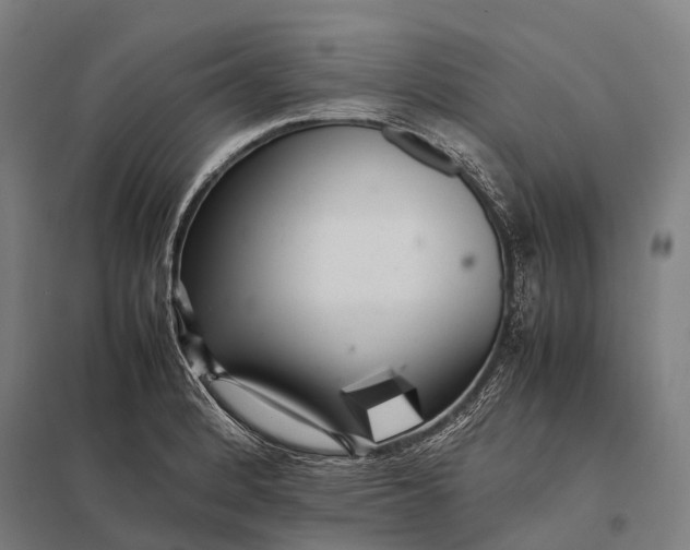 X0000097861184200803281305