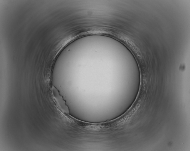 X0000097861185200803281305