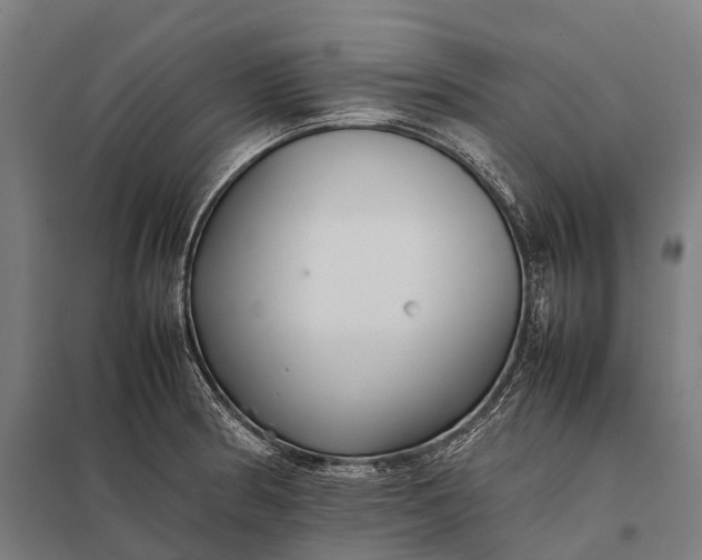 X0000097861186200803281305