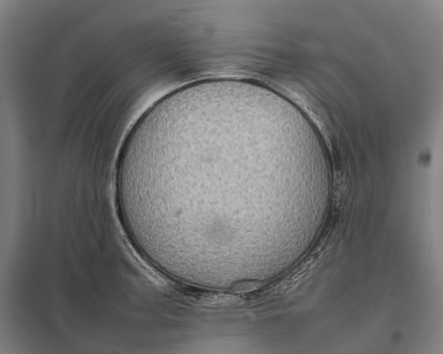 X0000097861187200803281305