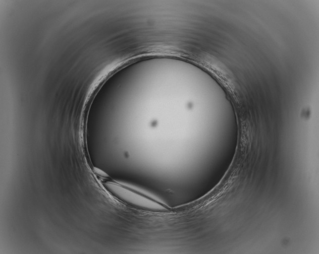 X0000097861188200803281305