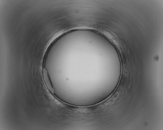 X0000097861189200803281305