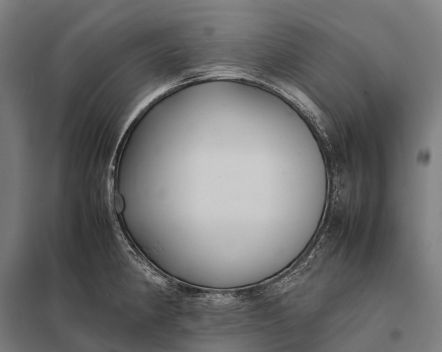 X0000097861190200803281305