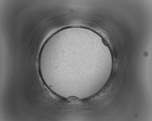 X0000097861191200803281305