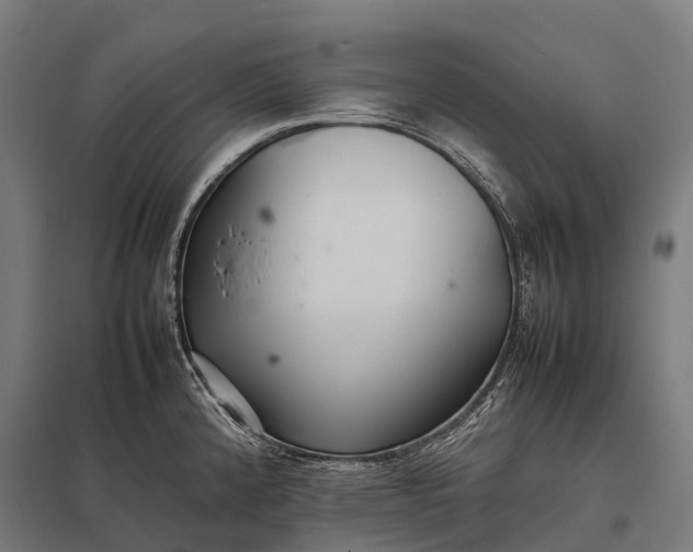 X0000097861192200803281305