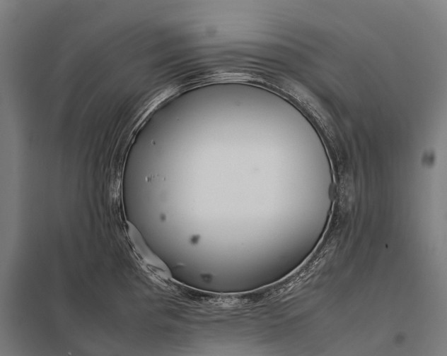 X0000097861193200803281305