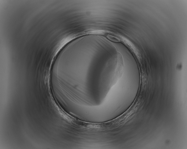 X0000097861194200803281305