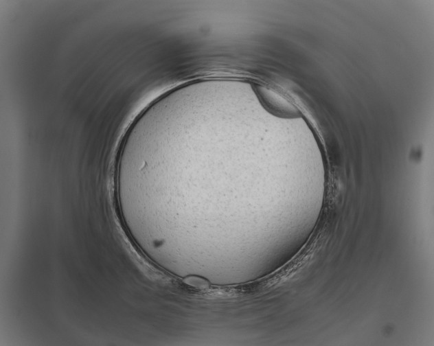 X0000097861195200803281305