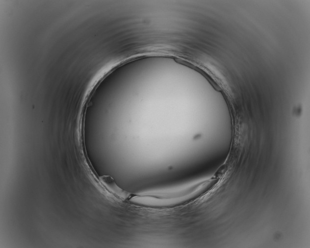 X0000097861196200803281305