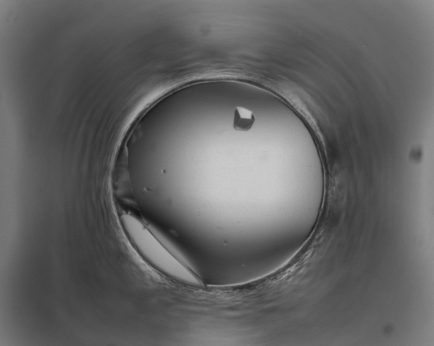 X0000097861197200803281305