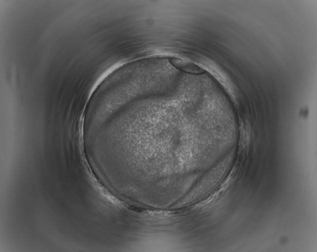 X0000097861198200803281305