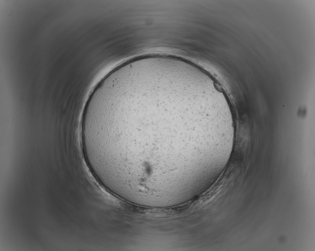 X0000097861199200803281305