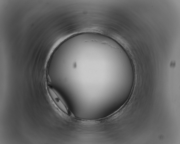 X0000097861200200803281305