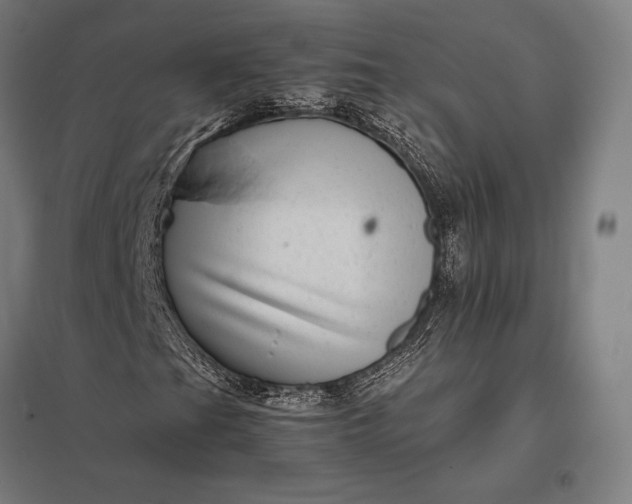 X0000097861201200803281304