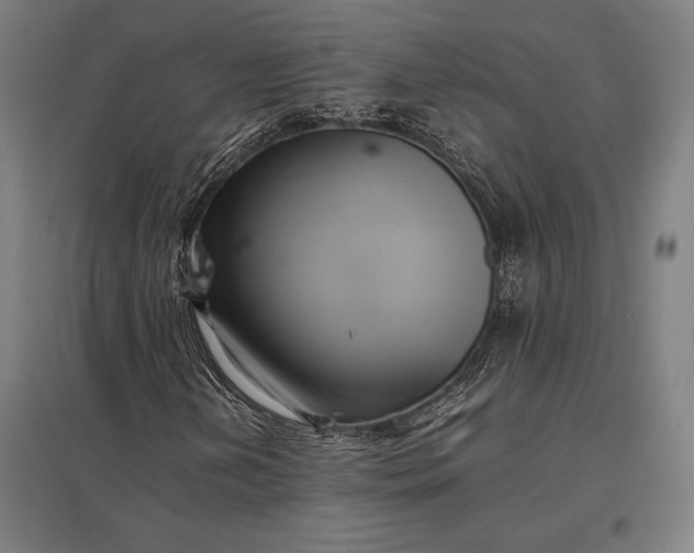 X0000097861202200803281304