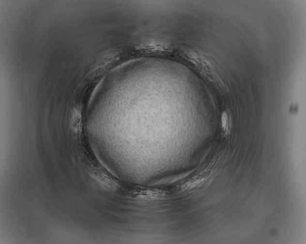 X0000097861203200803281304