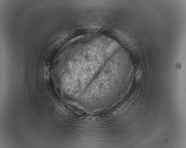 X0000097861204200803281304