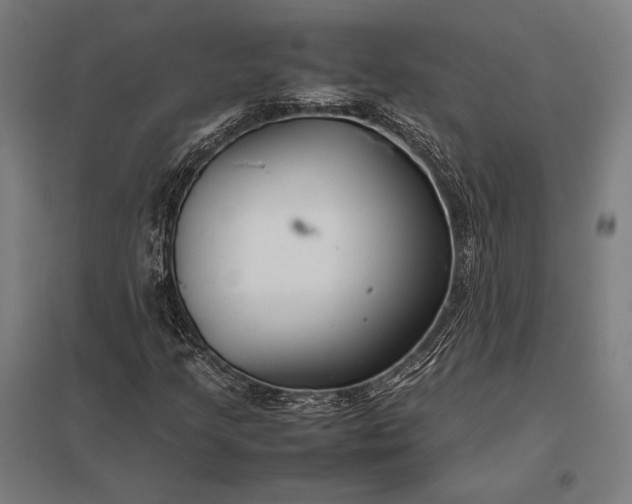 X0000097861205200803281304