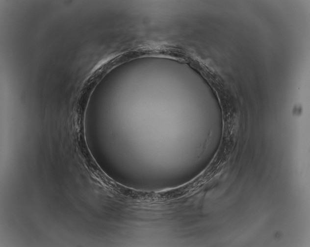 X0000097861206200803281304