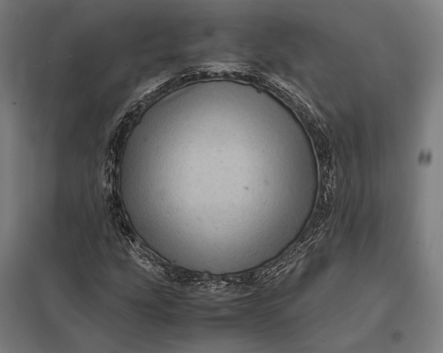 X0000097861207200803281304