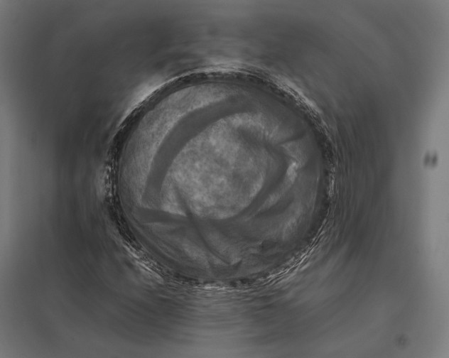 X0000097861208200803281304